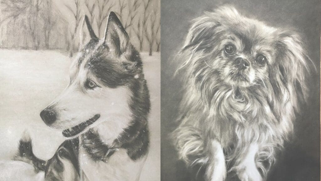 Local News Source press release about pet art with two cute dogs.